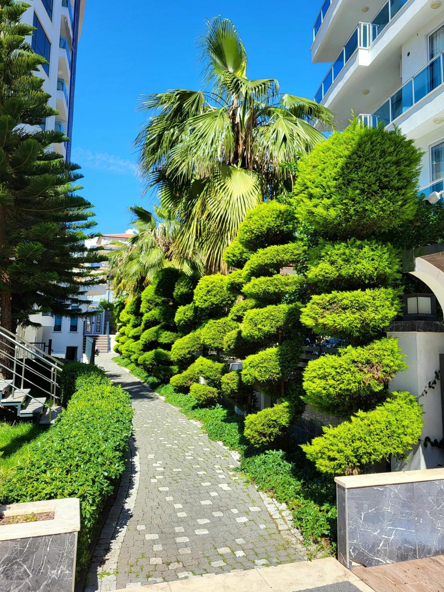 Elite Marine Residence - Cleopatra, Center Alanya Eksteriør bilde